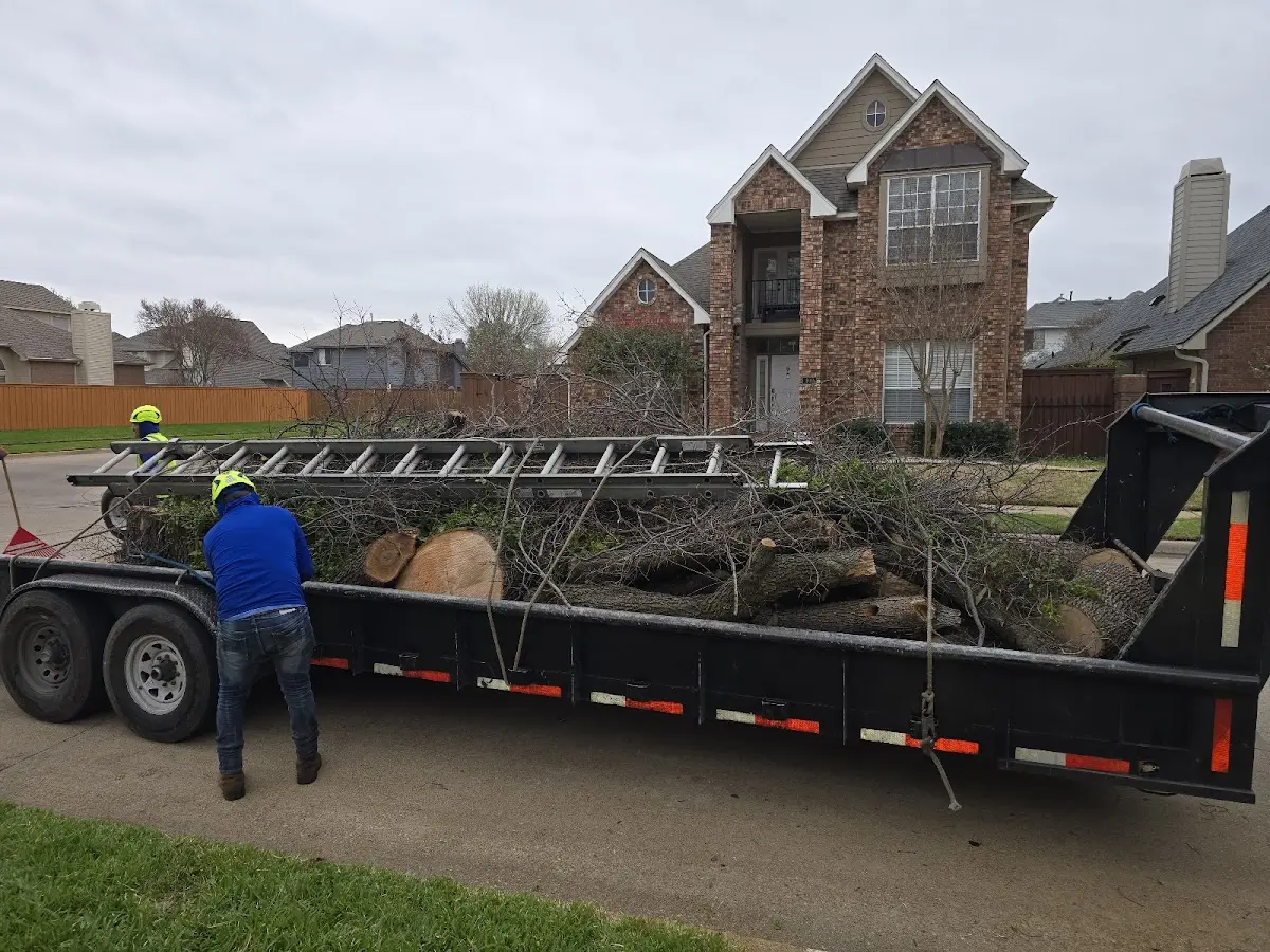 Expert Lot Clearing with proper safety equipment in Brookston